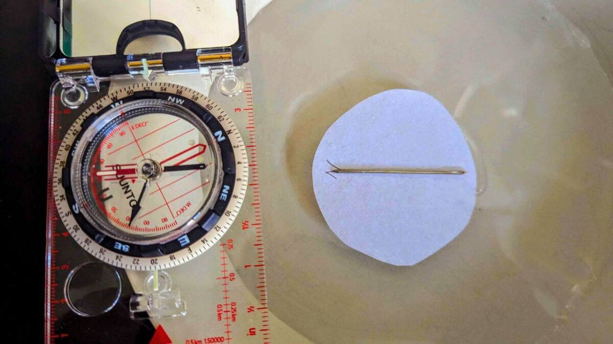 Survival Tips: Build your own compass (Instructions)